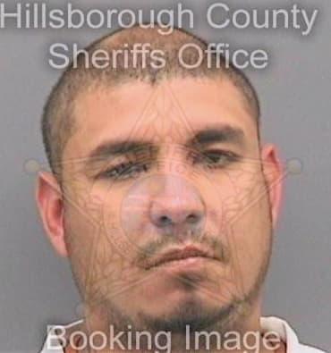 Conde David - Hillsborough County, FL 