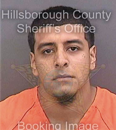 Carbajal Apolonio - Hillsborough County, FL 