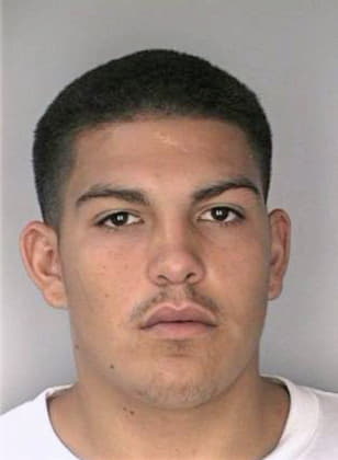 Marrero Carlos - Hillsborough County, FL 