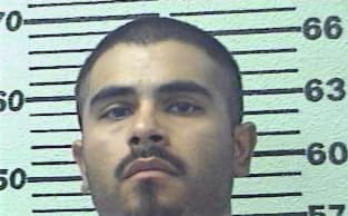 Hernandez Eliazar - Hopkins County, TX 