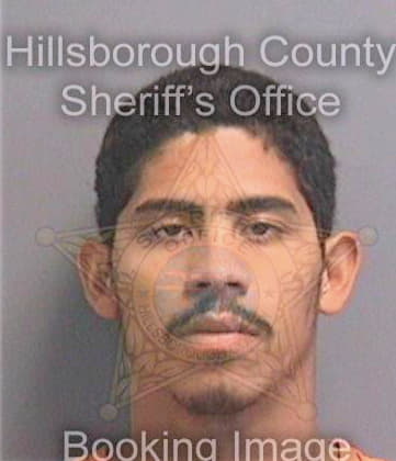 Serrano Raul - Hillsborough County, FL 