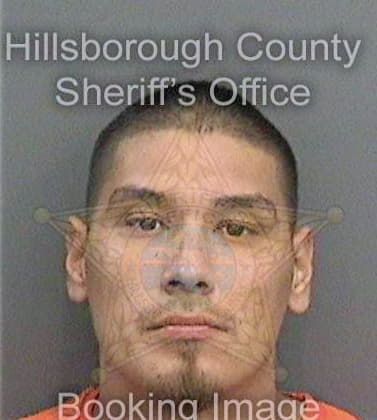 Martinez Felix - Hillsborough County, FL 