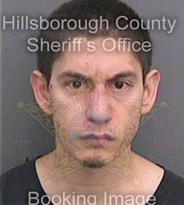 Ramirez Vincent - Hillsborough County, FL 