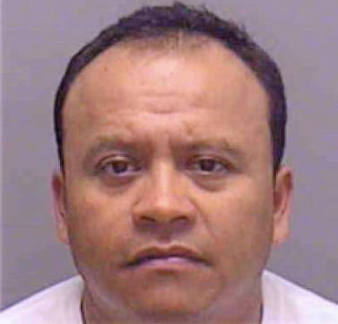 Hernandez Maurico - Lee County, FL 