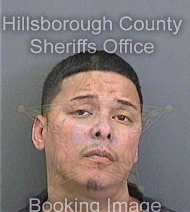 Gonzalez Rafael - Hillsborough County, FL 