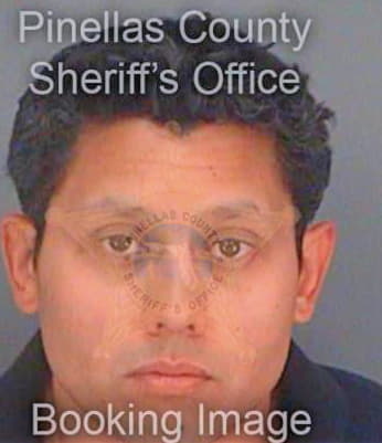 Suarez Ryan - Pinellas County, FL 