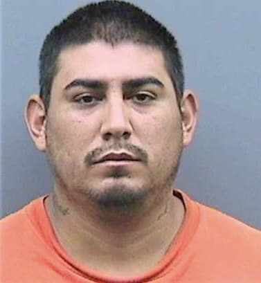 Garcia Delmiro - Hillsborough County, FL 