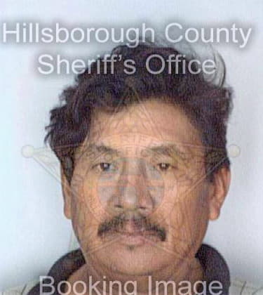 Mendoza Pedro - Hillsborough County, FL 