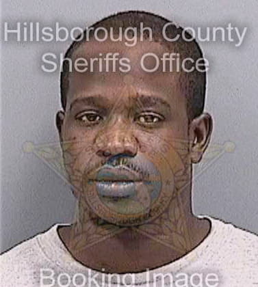 Simmons Brian - Hillsborough County, FL 