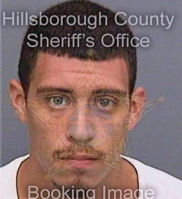 Orellana Jeremy - Hillsborough County, FL 