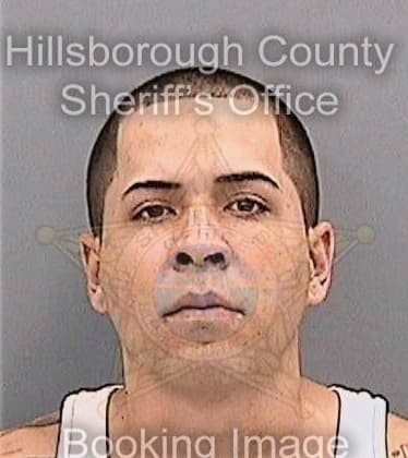Bisonomiro Javier - Hillsborough County, FL 