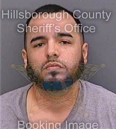 Ortega Roberto - Hillsborough County, FL 