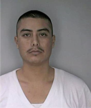 Espinoza Jose - Hillsborough County, FL 