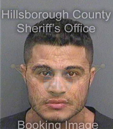 Samhoury Mohamad - Hillsborough County, FL 