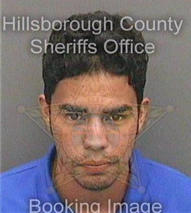 Mejiacastro Janiel - Hillsborough County, FL 