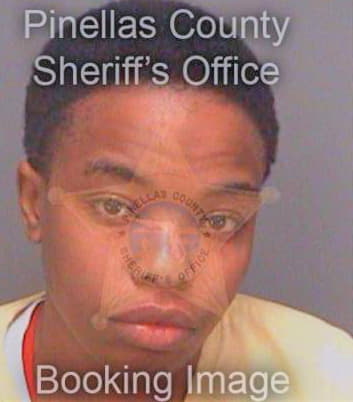 Allen Latisha - Pinellas County, FL 