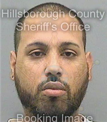 Ferreira Ranfis - Hillsborough County, FL 