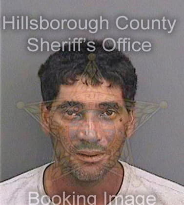 Dotson Franklin - Hillsborough County, FL 