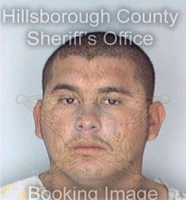 Garcia Rolando - Hillsborough County, FL 