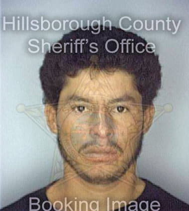 Gomez Daniel - Hillsborough County, FL 