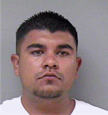 Ledesma Marco - Madera County, CA 