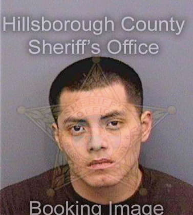 Perez Miguel - Hillsborough County, FL 