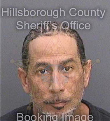 Mccoy William - Hillsborough County, FL 