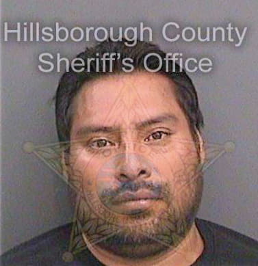 Lopezcruz Cornelio - Hillsborough County, FL 