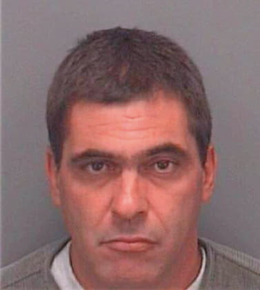 Silva Ernesto - Pinellas County, FL 