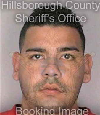 Ramirez Carlos - Hillsborough County, FL 