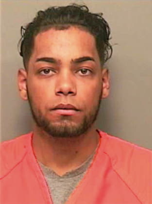Rodriguez Arnaldo - Montgomery County, TN 