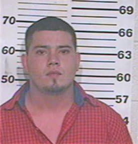 Hernandez David - Hidalgo County, TX 