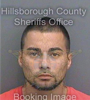 Parra Julio - Hillsborough County, FL 