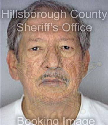 Martinez Jose - Hillsborough County, FL 