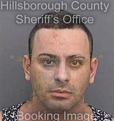 Fernandez Dioney - Hillsborough County, FL 