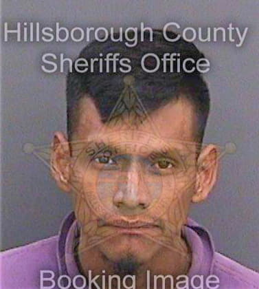 Perezperez Jener - Hillsborough County, FL 