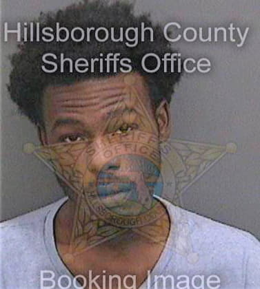 Donaldson Nathan - Hillsborough County, FL 