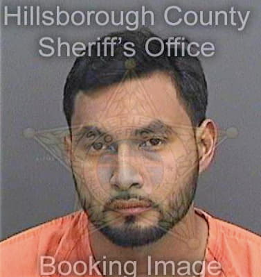 Orea Dagoberto - Hillsborough County, FL 