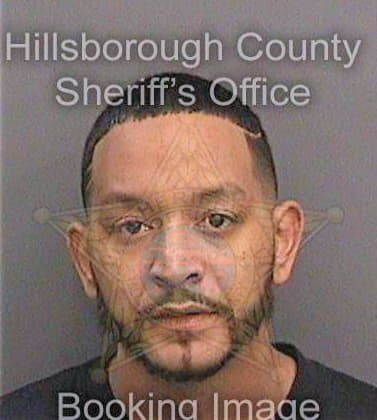 Hamilton Rosson - Hillsborough County, FL 