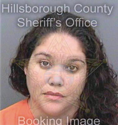 Mckay Andromedia - Hillsborough County, FL 