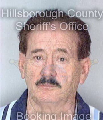 Daniels Hersel - Hillsborough County, FL 