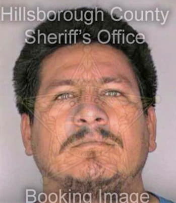 Pena Juan - Hillsborough County, FL 