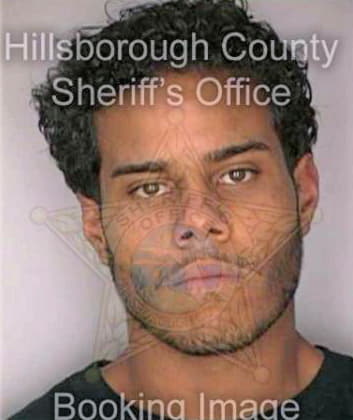 Gonzalez Emanuel - Hillsborough County, FL 