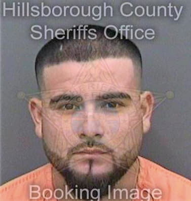 Cerda Juan - Hillsborough County, FL 