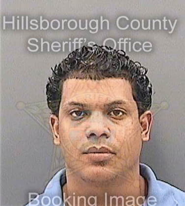 Martinez Raiven - Hillsborough County, FL 