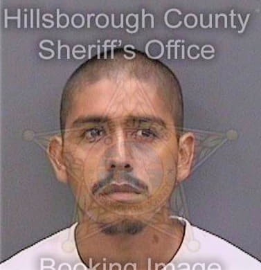 Torres Jorge - Hillsborough County, FL 