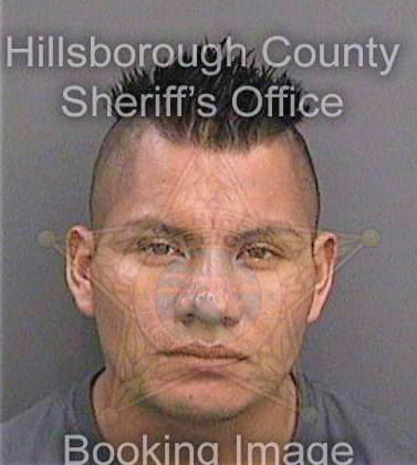 Mendezhernandez Juan - Hillsborough County, FL 