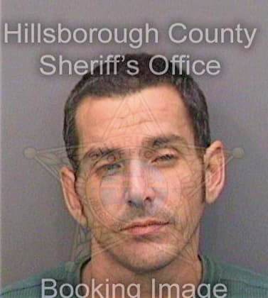 Solersanchez Henry - Hillsborough County, FL 