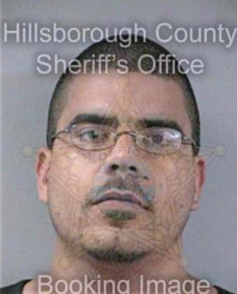 Garcia Angelo - Hillsborough County, FL 