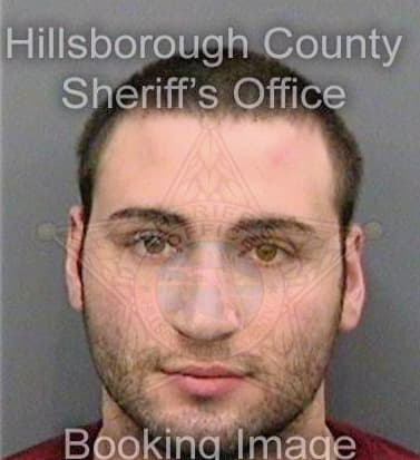 Marcotrigiano Daniel - Hillsborough County, FL 